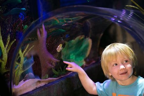 SEA LIFE Aquarium at American Dream Mall - | Tripadvisor