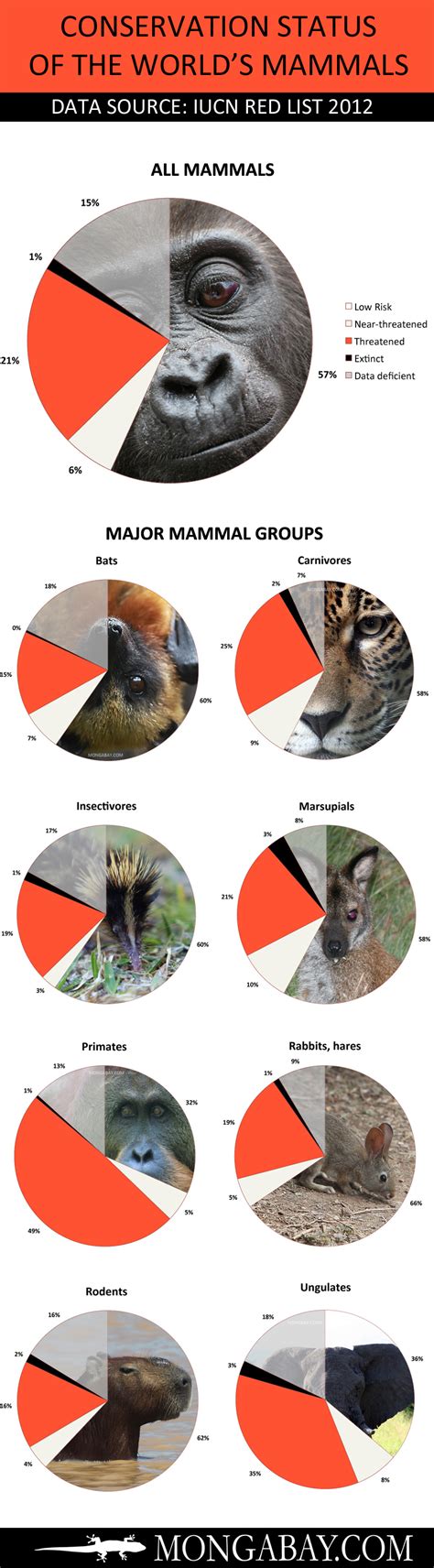 Chart: the world’s endangered mammals