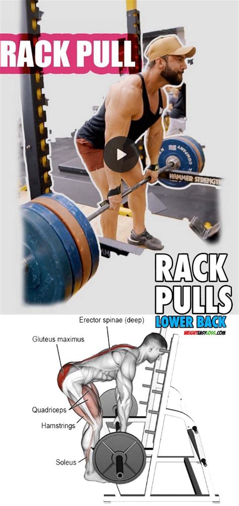 RACK PULLS FOR BACK THICKNESS | Exercícios de treino, Exercícios, Treino