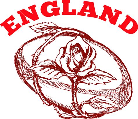 England Rugby Ball With English Rose Flower Royalty-Free Stock Image ...