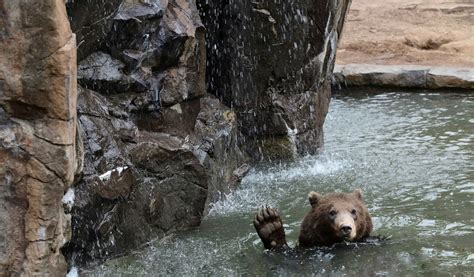 Lake Superior Zoo | Visitor Information | Duluth, MN