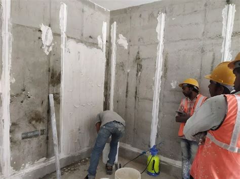 Gypsum Wall plastering Work - Chennai &Tamilnadu | ID: 2849505439762