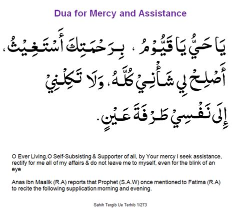 Best Dhikr after Fajr Prayer | Duas Revival | Mercy of Allah