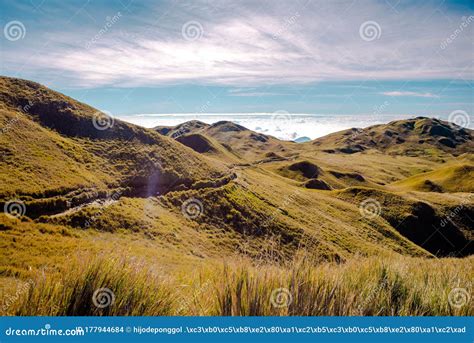 Mount Pulag Summit Trail Stock Photo | CartoonDealer.com #50143002