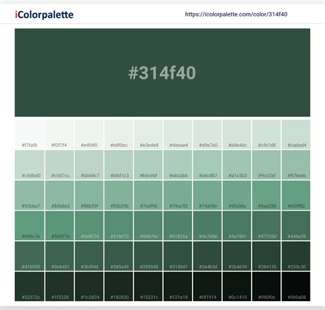 Pantone 19-5513 Tcx Dark Green Color | Hex color Code #314f40 information | Hsl | Rgb | Pantone