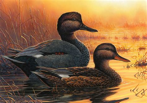 2017FDC203 | 2017 Federal Duck Stamp Art Contest Entry 203 | U.S. Fish and Wildlife Service ...