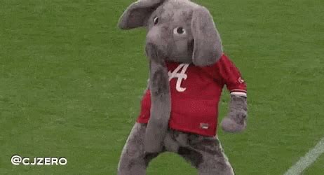 Roll Tide GIFs | Tenor