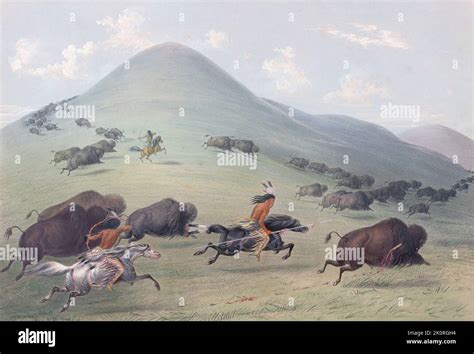 Plains indians bison hunting hi-res stock photography and images - Alamy