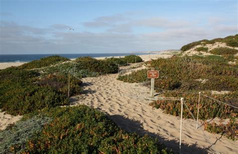 Monterey State Beach – Seaside Beach, Seaside, CA - California Beaches