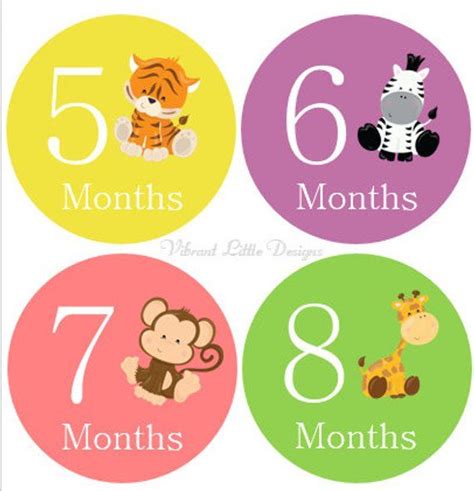 Monthly Baby Stickers Girl Milestone Stickers Month | Etsy | Baby month stickers, Baby milestone ...