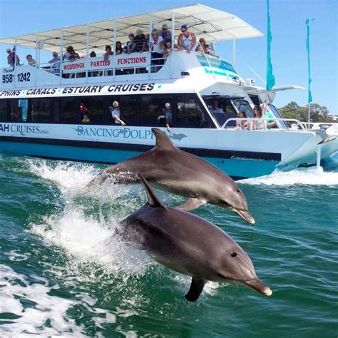 Mandurah Dolphin & Scenic Canal Cruise from Perth