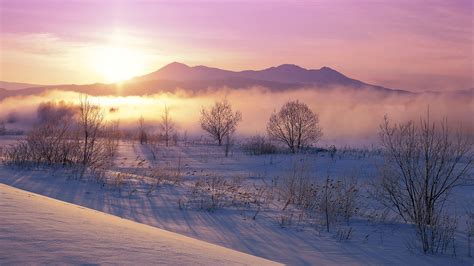 nature, Landscape, Winter, Sunrise, Mist, Mountain, Snow, Shrubs, Cold Wallpapers HD / Desktop ...