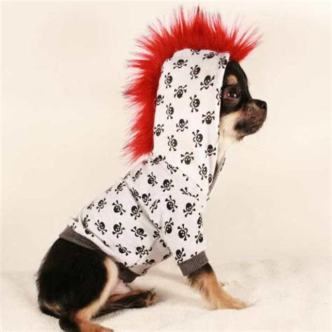 Clothes For Teacup Chihuahua Puppies