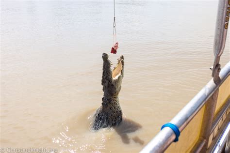 Adelaide River Jumping Crocodile Cruises: Spectacular Jumping Crocodile ...