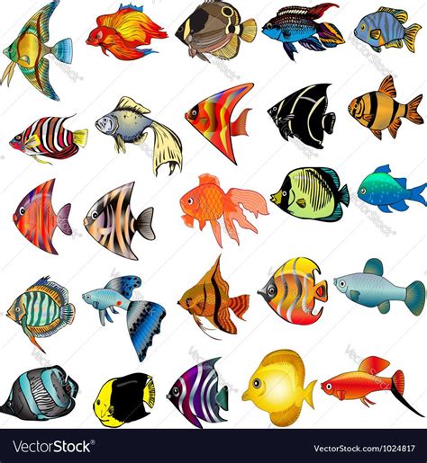 Vector image of Tropical Fish Set Vector Image, includes design, themes ...