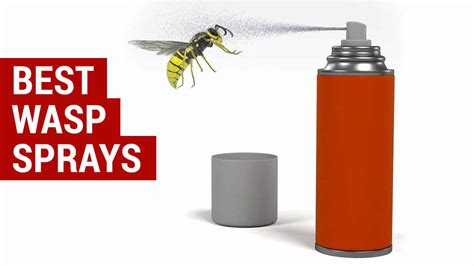 Best Wasp Spray Reviews | Best products for killing wasps and hornets