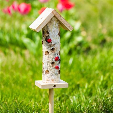 Duncraft.com: Birch Ladybug Habitat | Ladybug house, Ladybug ...