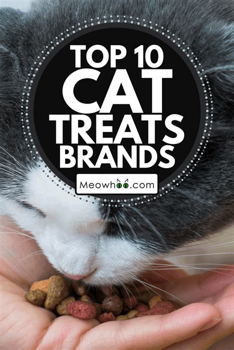 Top 10 Cat Treats Brands