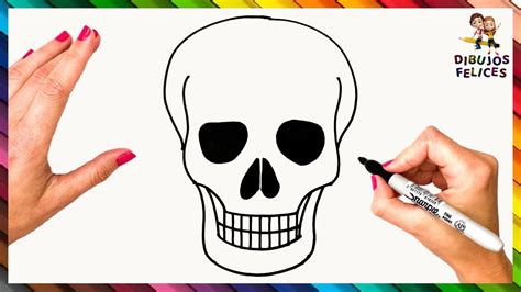 Cómo Dibujar Una Calavera Paso a Paso 💀 Calavera Dibujo - YouTube