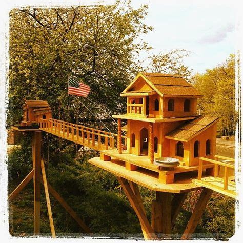 Squirrel Houses Plans Inspirational Squirrel House Google Search Squirrel | Backyard house, Cool ...