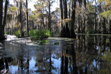 Caddo Lake Watershed Flow Restoration – Business for Water Stewardship