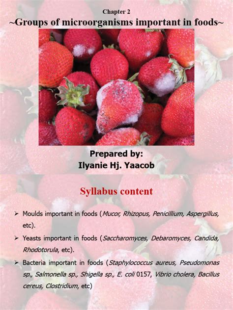 Chapter 2 - Groups of Microorganisms Important in Foods | PDF | Yeast ...