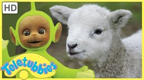 Video - Teletubbies Full Episode - Mary Had a Little Lamb Episode 257 | Teletubbies Wiki ...