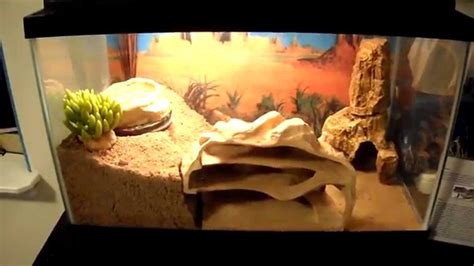 Leopard Gecko cage setup!! - YouTube