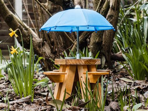 Unique garden bird table & feeder | Etsy