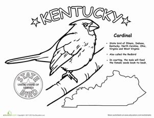 Kentucky State Symbols Coloring Pages