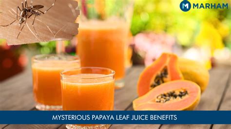 Papaya Leaf Juice Benefits for Immunity Booster | Marham