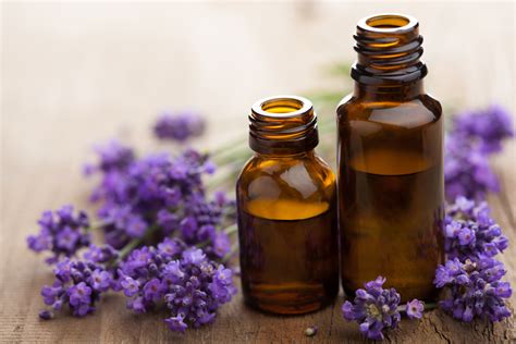 10 Lavender Oil Uses