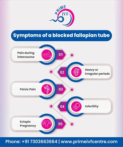 Blocked Fallopian Tube Symptoms - Causes, Diagnosis, and Treatment Options