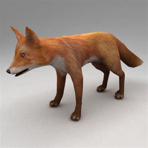 rigged fox animation 3d model