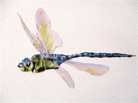 Dragonfly wall stickers dragonfly decals watercolor | Etsy