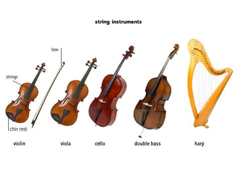 Strings | Music instruments, Violin, Instruments