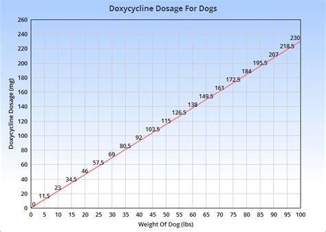 Canine dosage of doxycycline | Dog medicine, Dogs, Dog care