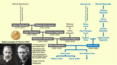 Marie Skłodowska Curie Family Tree : r/UsefulCharts