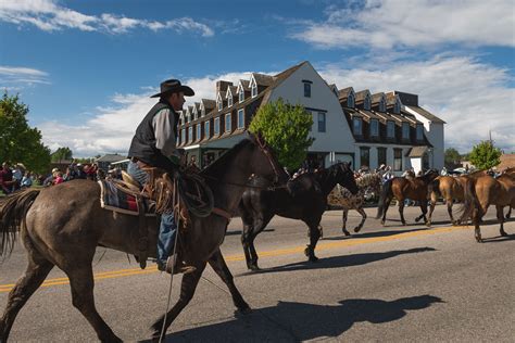 Eaton's Horse Drive - Sheridan, Wyoming Travel and Tourism