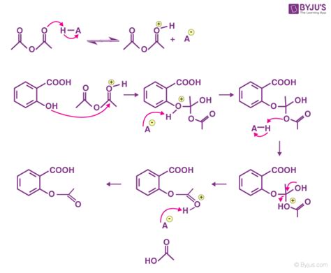 acetylation mechanism