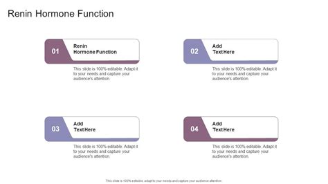 Renin Hormone Function In Powerpoint And Google Slides Cpb