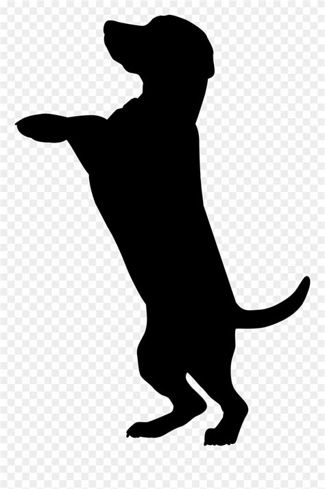 labrador retriever silhouette clipart 10 free Cliparts | Download images on Clipground 2024