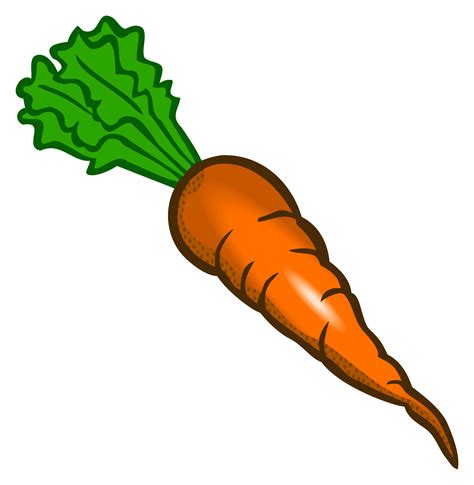 Carrot Food Vegetable Clip art - drawing carrot png download - 2342*2400 - Free Transparent ...