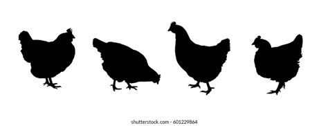 96,799 Chicken Silhouette Images, Stock Photos & Vectors | Shutterstock