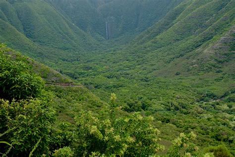 The 7 BEST Molokai Hikes: The Top-Rated Hiking Trails & Walks