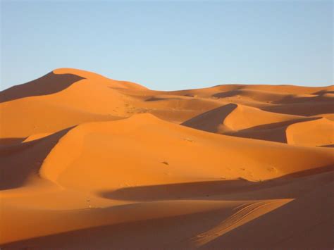 Free Images : landscape, desert, sand dune, sandy, habitat, sahara ...