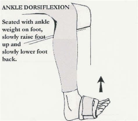 Ankle Dorsiflexion Stretch | Exercise & Diet (Not Recipes) | Pinterest ...