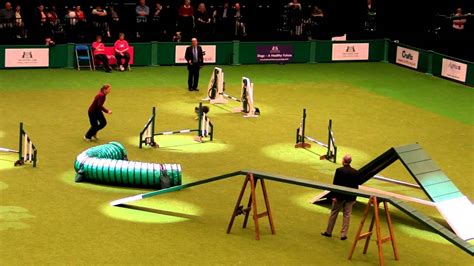 Crufts 2012: Agility Shelties - YouTube