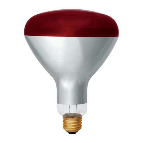GE 250-Watt Dimmable R40 Heat Lamp Incandescent Light Bulb in the Incandescent Light Bulbs ...