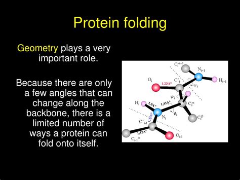 PPT - Protein folding PowerPoint Presentation, free download - ID:4463362